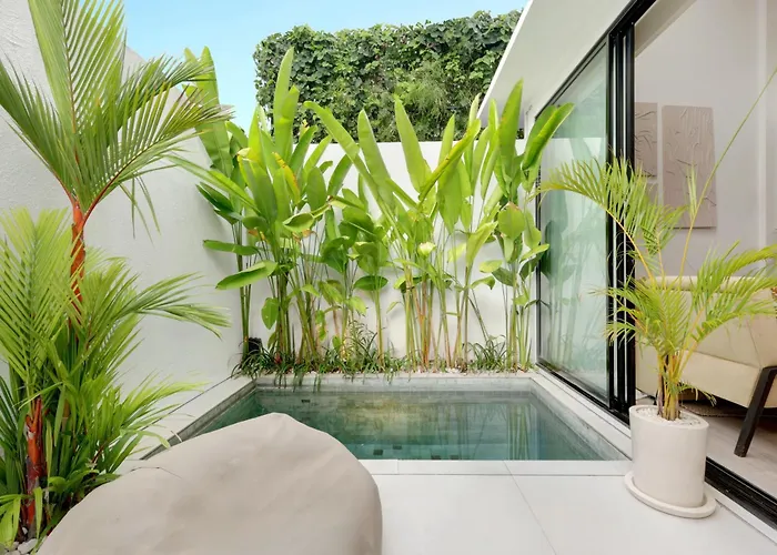 The Oasis Smart By Breig *