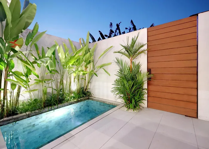 The Oasis Smart By Breig